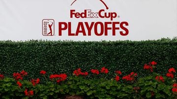 Take a look at the PGA Tour and FedEx Cup official rankings across various categories for participating golf players.