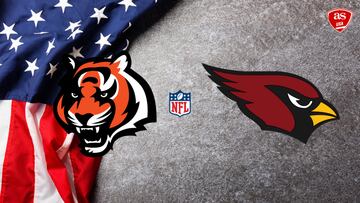 Arizona Cardinals vs. Chicago Bears NFL Week 13 TV information