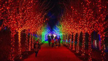 Where to see Christmas lights near me in the USA