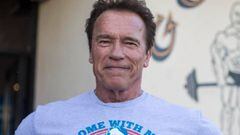 Arnold Schwarzenegger debutará en televisión de mano de una serie de espías