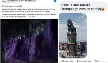 Meme de gorila de Hidalgo en el Reloj Monumental