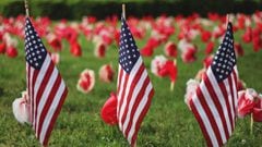 Why is Flag Day celebrated?
