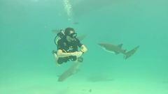 Pablo Motos cumple su sueño de bucear con tiburones