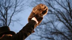 Groundhog Day is celebrated every 2 February, across the US but there “is the only true weather forecasting groundhog. The others are just impostors.”