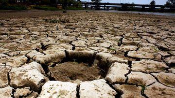 México declara emergencia por sequía: qué significa y cómo afectará