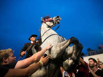 A horse rears in the crowd during the &quot;Jocs des Pla&quot;, equestrian games celebrated at the crowded port during the traditional Sant Joan (Saint John) festival in the town of Ciutadella, on the Balearic Island of Minorca, on Saint John&#039;s day on June 24, 2019. (Photo by JAIME REINA / AFP)