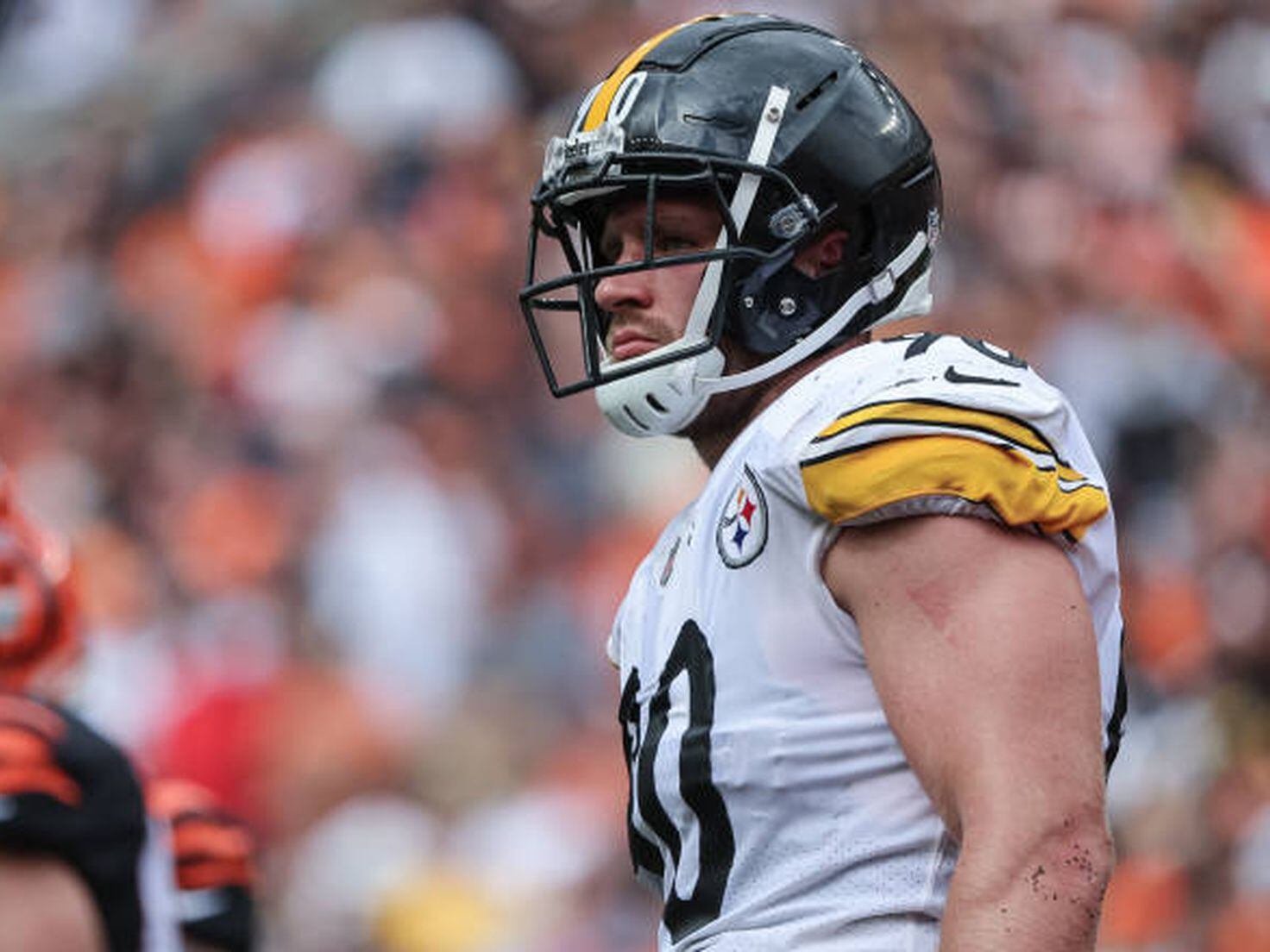 T.J. Watt Wins AFC Defensive Player of the Month for November - Steelers Now
