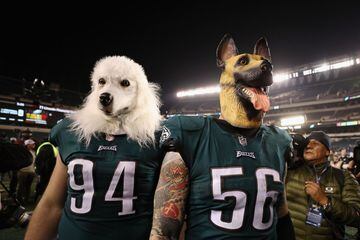 Los aficionados de los Eagles, equipo de la NFL, han podido celebrar la primera SuperBowl de su equipo ante los Patriots