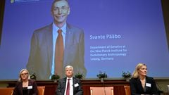 Svante Paabo wins Nobel Prize for sequencing Neanderthal DNA