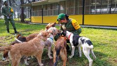Adopta un perrito en el AIFA: Requisitos e historia del refugio de ‘Lomitos’