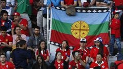 Polémica por las banderas mapuches en el Germán Becker