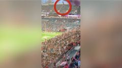 Un gato apunto de caer del techo del estadio hizo que el público reaccionara rápidamente
