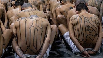 Pandilleros son llevados a su celda en el Centro de Confinamiento del Terrorismo, la nueva mega cárcel construida en El Salvador.