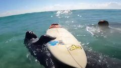 Un manat&iacute; o vaca marina agarra una tabla de surf de un ni&ntilde;o de 10 a&ntilde;os en Fort Pierce (Florida, Estados Unidos) y tira al ni&ntilde;o al agua, el 4 de julio del 2022. 