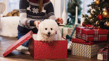 7 consejos para evitar que las mascotas tiren el árbol de Navidad este 2023