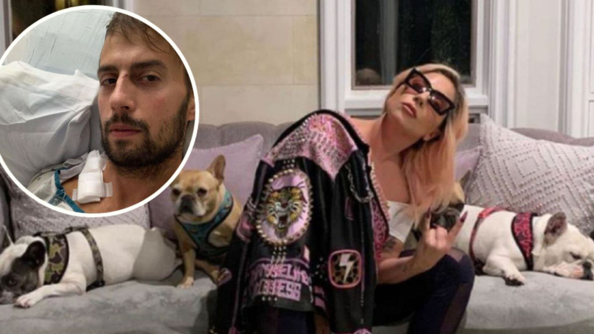 La petición de Ryan Fischer, el paseador de perros de Lady Gaga - Tikitakas