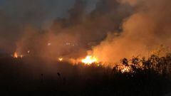 Así fue el incendio en pastizales de Tlalnepantla, EdoMex