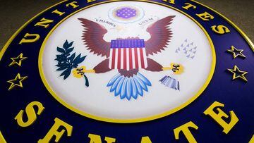 (FILES) In this file photo taken on December 27, 2012, the seal for the US Senate hangs on the wall inside the Senate Radio-TV gallery on Capitol Hill in Washington, DC. - Eleven Democratic senators pressed the US Treasury on September 3, 2020, to place s