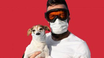 Coronavirus en USA: ¿Los perros pueden contagiar el coronavirus?