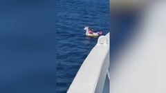 El aterrador video de una niña de cuatro años en medio del mar: gracias que hubo rescate
