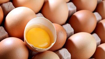 Precio del huevo rebasa los 100 pesos: ¿En qué estados se vende más caro y por qué?