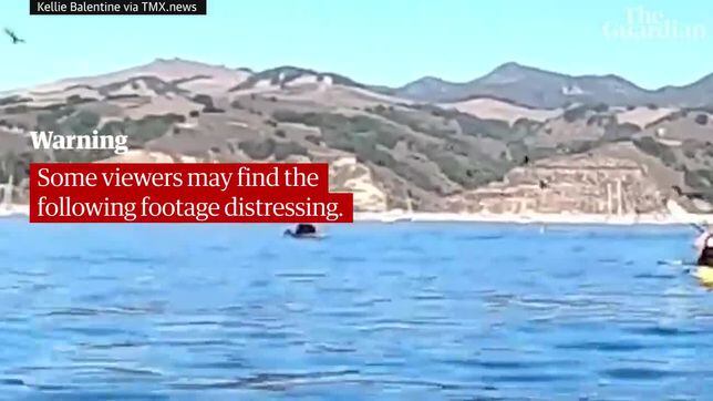 Kayakers nearly swallowed by whale in California recount their shocking experience
