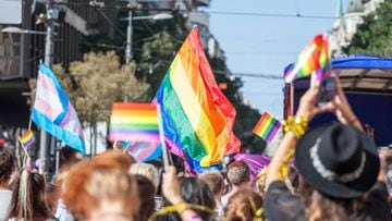 Este 28 de junio se celebra el D&iacute;a Internacional del Orgullo, por lo que aqu&iacute; te explicamos cu&aacute;les son las banderas LGBTIQA+ y su significado.
