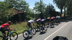 Los ciclistas del Euskaltel en el pelotón durante el Tour de Eslovenia.