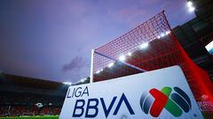 A detail of a Liga MX sign