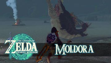 the legend of zelda tears of the kingdom nintendo switch guia moldora como derrotarlo ubicaciones