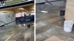 Viral: Así se desploma techo del Metro Eugenia en CDMX por intensas lluvias