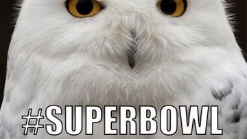 Funny Superbowl 