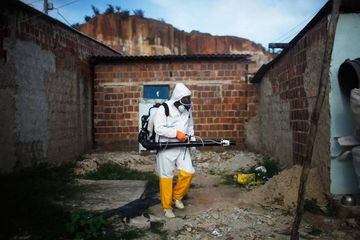 A city worker in Recife, Brazil fumigates to eradicate the mosquito which transmits the Zika virus