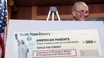 U.S. Senate Majority Leader Chuck Schumer smiles from behind a mock U.S. Treasury check.