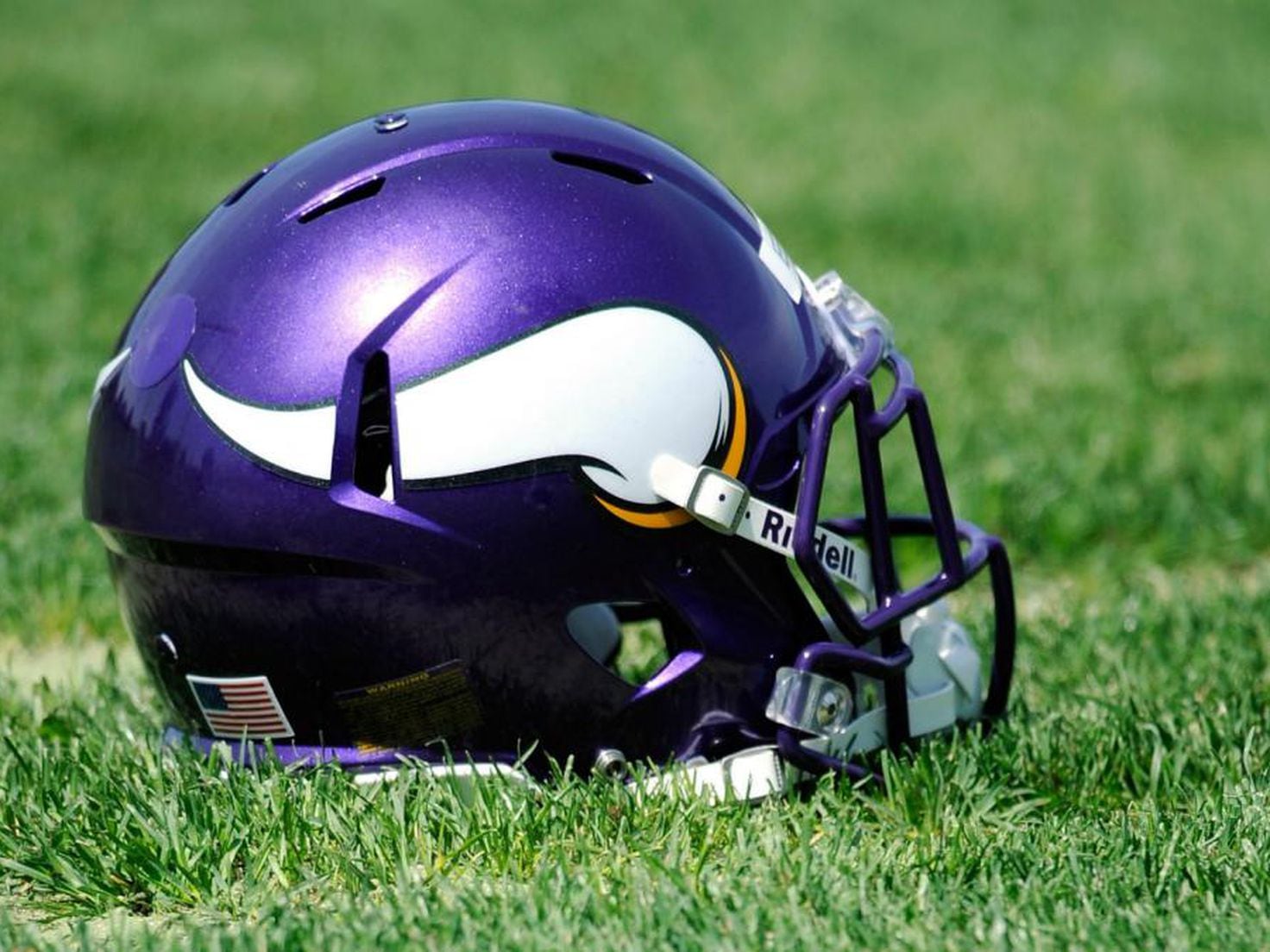 gm minnesota vikings