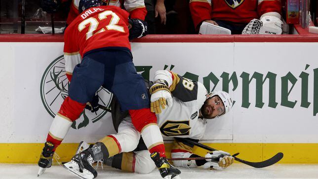 Hockey Fighting Rules