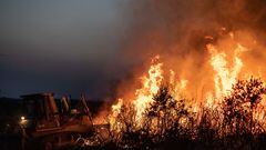 Incendio de Losacio, a 17 de julio de 2022, en Losacio, Zamora, Castilla y León (España). Un brigadista de una autobomba que trabajaba en la extinción del incendio ha fallecido víctima del rápido avance de las llamas en la zona. De acuerdo con las primeras informaciones, el fuego ha podido originarse por la caída de un rayo en mitad de una tormenta que se ha registrado hoy, 17 de julio.  El descontrol del incendio forestal, que se encuentra en nivel 2 del Plan de Protección Civil ante Emergencias por Incendios Forestales en Castilla y León, ha obligado al desalojo de tres poblaciones ante la cercanía de las llamas: San Martín de Tábara, Sesnández de Tábara y Ferreruela de Tábara.
18 JULIO 2022;BOMBERO;ZAMORA;INCENDIO
Emilio Fraile / Europa Press
17/7/2022