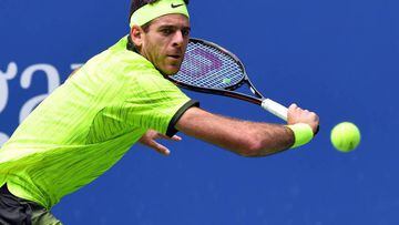Del Potro amazed to be thrust back into the limelight