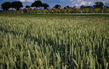 El pelotón durante la tercera etapa del Tour de Francia 2022.