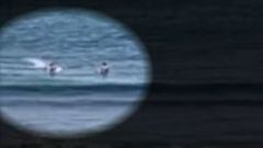 Un tibur&oacute;n cazando una tortuga detr&aacute;s de dos surfistas en Ala Moana, Honolulu, Haw&aacute;i, el viernes 28 de mayo del 2023. 