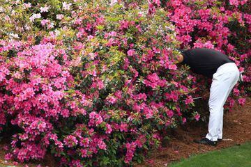 Spring search at the Augusta Masters.