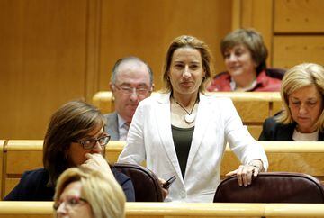 Comenzó en la política en 2003 en las listas del Partido Popular en el ayuntamiento de Palencia, obtuvo el acta de concejal en el area de deportes. Desde 2011 es senadora del Partido Popular por Palencia
