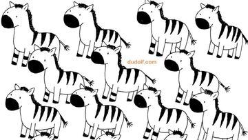 Reto visual: Encuentra a la zebra que es diferente a las demás