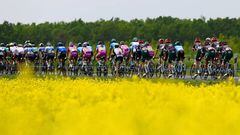 BALATONFURED, HUNGARY - MAY 08: The peloton passing through flowery landscape during the 105th Giro d'Italia 2022, Stage 3 a 201km stage from Kaposvár to Balatonfüred / #Giro / #WorldTour / on May 08, 2022 in Balatonfured, Hungary. (Photo by Tim de Waele/Getty Images)