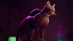 Stray, el juego de PS5 protagonizado por un gato, ofrece nuevos