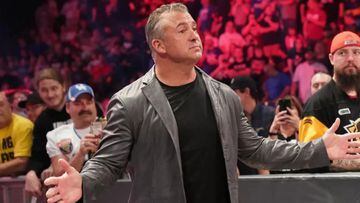 Triple H gave an update on Shane McMahon’s injury, who returned to WWE for the first time since the men’s Royal Rumble match last year.