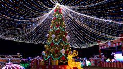 Navidad en México, en vivo hoy: Niño Jesús, Papá Noel, tradición y regalos | últimas noticias