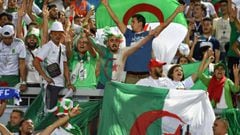Algeria fans 