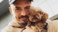 Orlando Bloom pierde a su perro y ofrece una recompensa: "Mi corazón está roto"