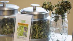 Imagen de un recipiente con hojas de marihuana.